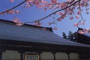 四国霊場第21番札所 太龍寺