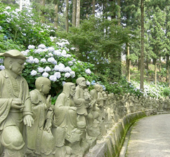 四国霊場第66番札所 巨鼇山 雲辺寺