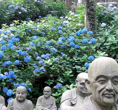 四国霊場第66番札所 巨鼇山 雲辺寺