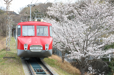 八栗ケーブルの魅力